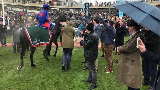 Splash Of Ginge is given a hero's welcome by his owners