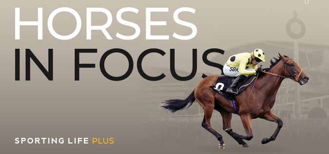 Sporting Life Fast Horses In Focus tips for today: Eye-catchers chosen by Timeform experts