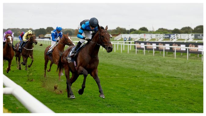 Cheltenum Races Timeform ratings review: Doncaster and Cheltenham