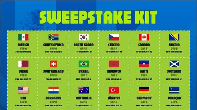 World Cup sweepstake kit