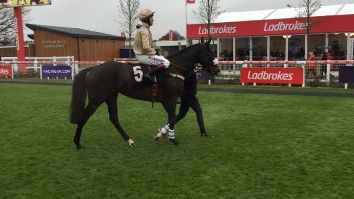 Dame Rose after winning at Newbury