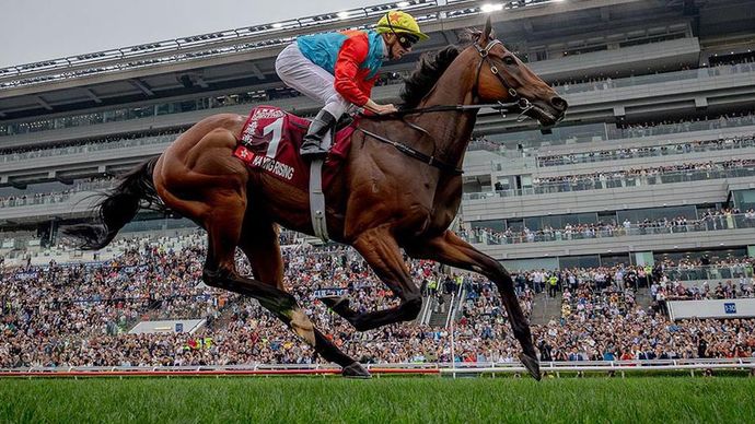 Ka Ying Rising cruises home (HKJC)