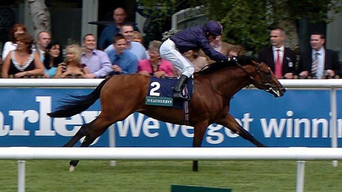 Horatio Nelson wins at Newmarket