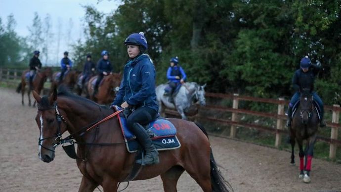 Horses prepare to gallop at Olly Murphy's yard (Shamela Hanley Photography)