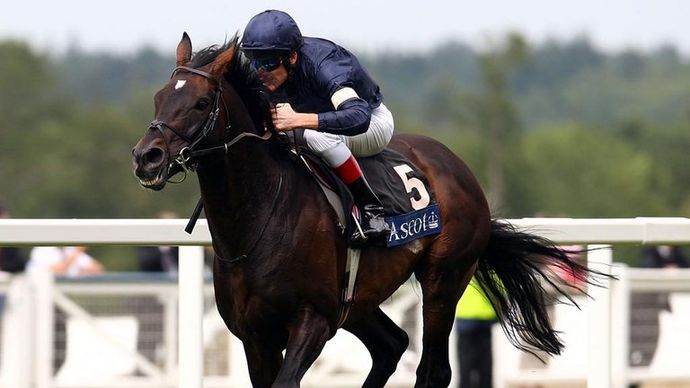 Yeats wins the 2009 Gold Cup
