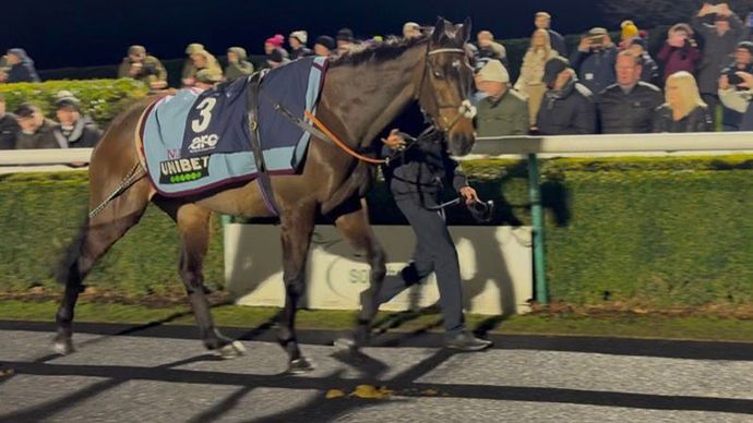 Constitution Hill in the main parade ring