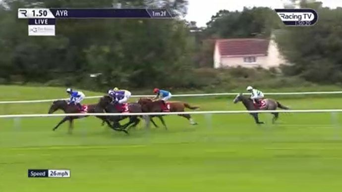 Almeric makes a slow start at Ayr