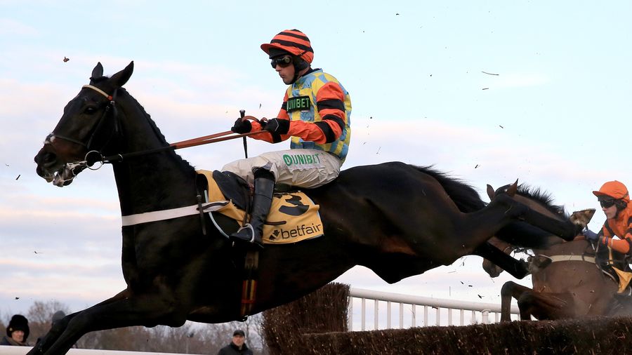 Horse Racing News Etc Classified Racing Sports Forum
