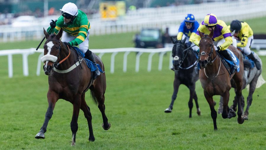 Cheltenham Festival news: Jagwar to be geared towards Ultima Handicap ...