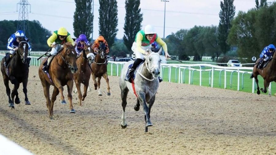 Champagne Prince in action at Southwell (photo: Tony Knapton)