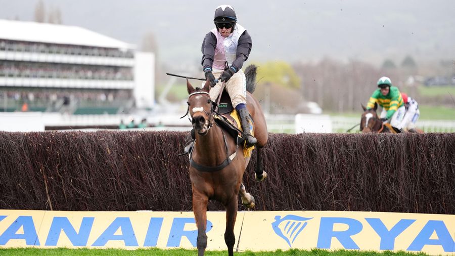 Wood X Racer Ryanair Chase winner Heart Wood set to return to action in Down Royal ...