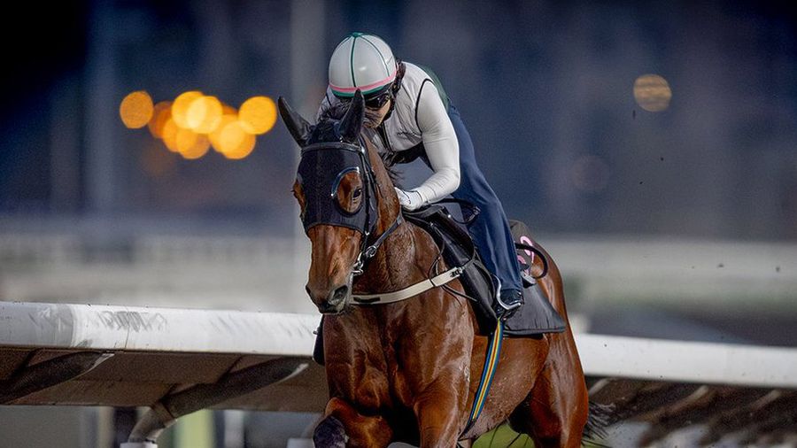 Ka Ying Rising eases through a morning workout