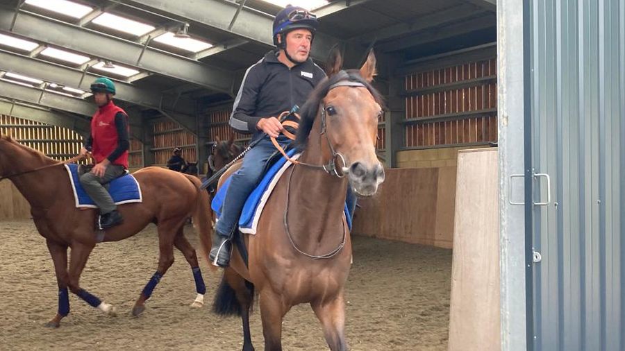 Anmaat heads out to work in Lambourn