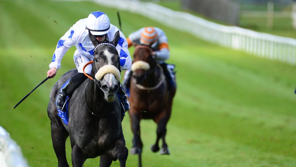 Billy Lee on board Lustown Baba