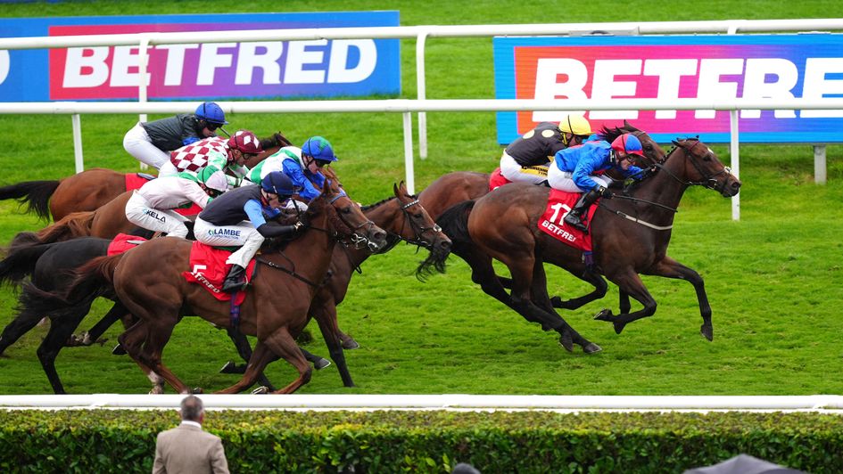 Desert Falcon in winning action