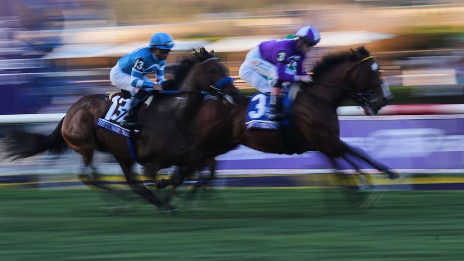 Outfielder in action at last year's Breeders' Cup