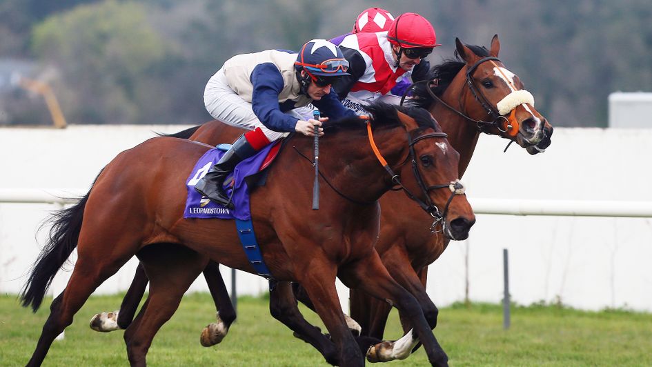 Laganore pictured winning at Leopardstown under Fran Berry