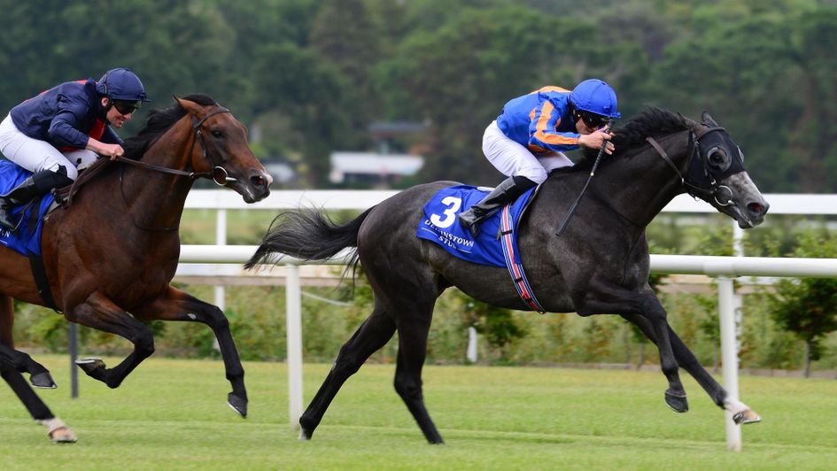 Cormorant comes out on top in the Derrinstown Stud Derby Trial