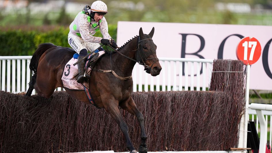 Gaelic Warrior jumps the last en route to winning the Cheltenham Gold Cup