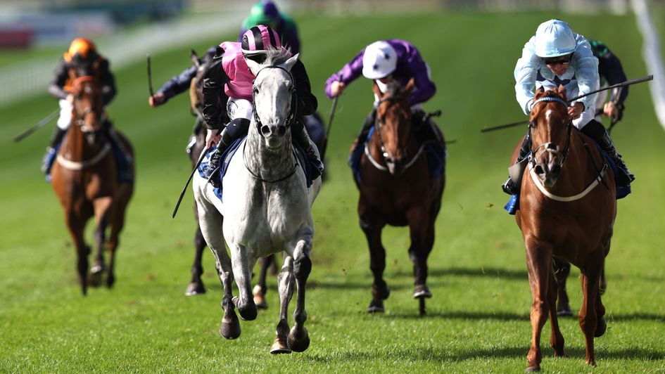 Soul Love (right) gets the better of Big Gossey
