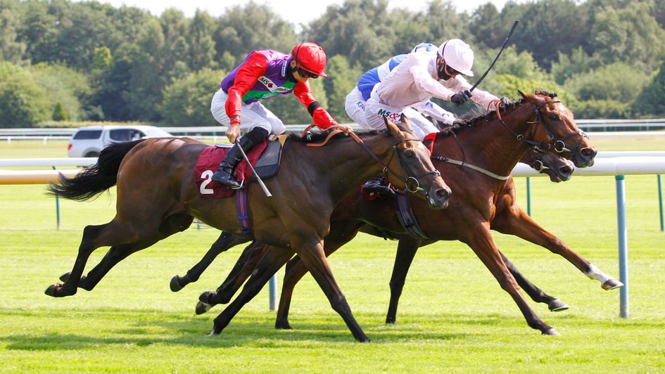 Lucander (red sleeves) was a close third at Haydock