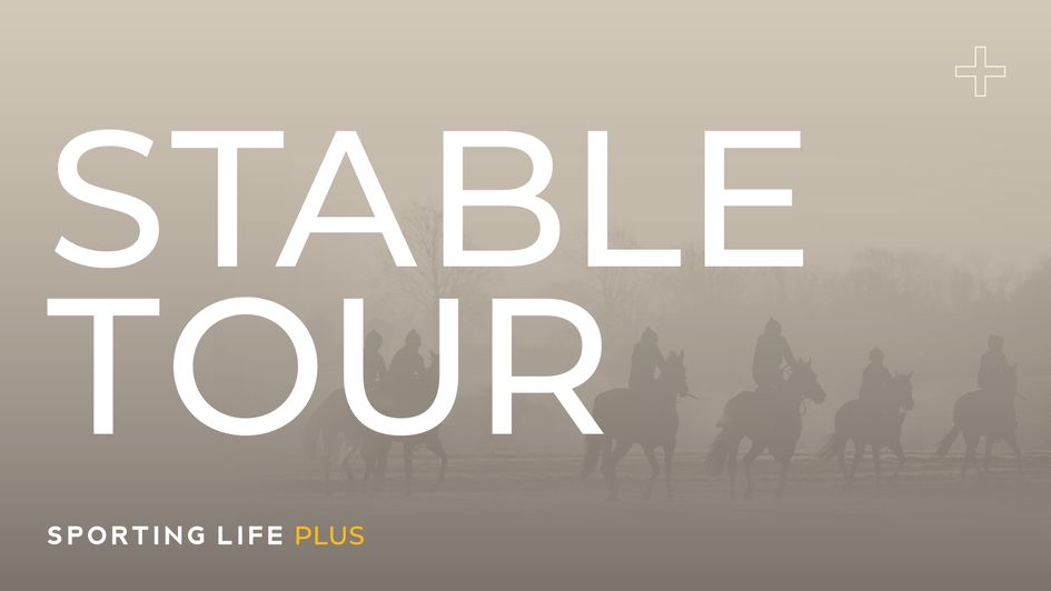 Don't miss all the latest ahead of the 2026 Cheltenham Festival