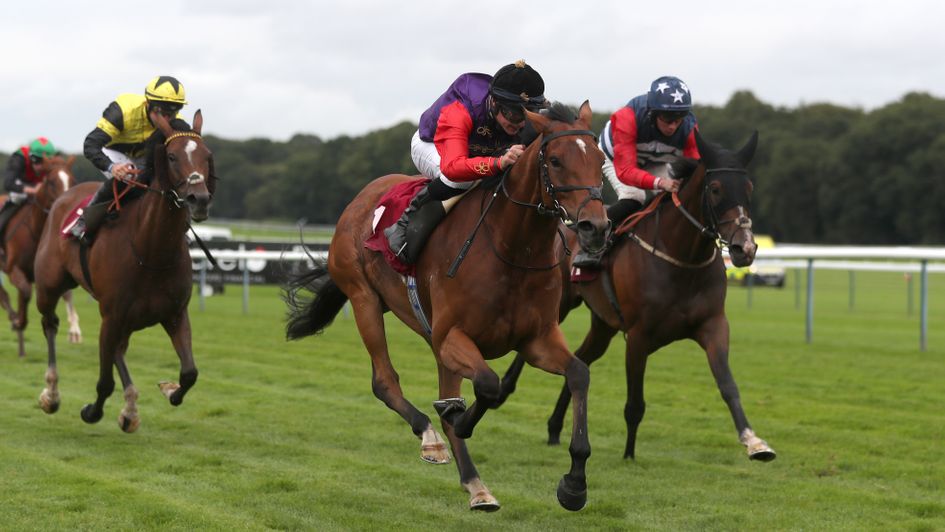 Space Walk strikes at Haydock