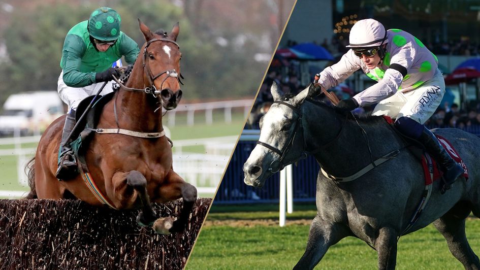 Blue Lord and Lossiemouth both starred over Christmas