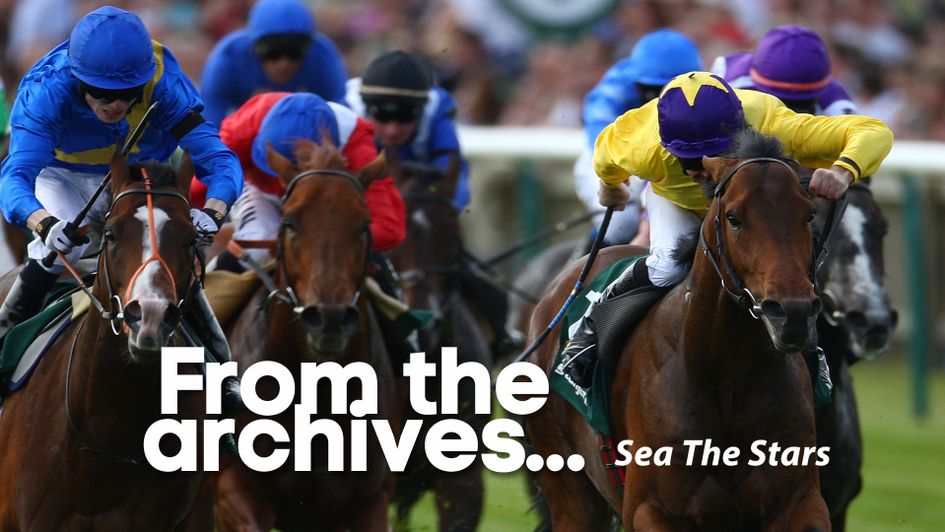 Log-in and watch the brilliant Sea The Stars