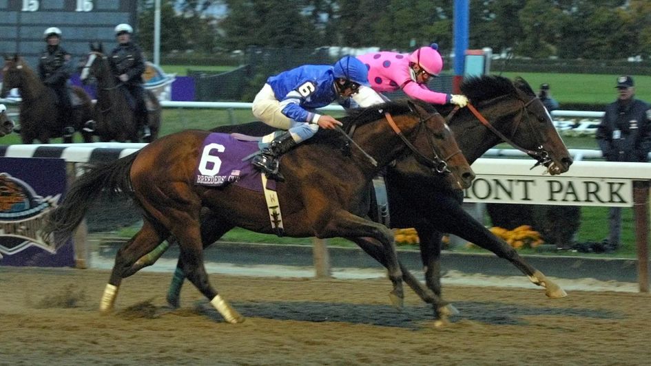 Tiznow in 2000: Europe get so close with Sakhee in the Classic