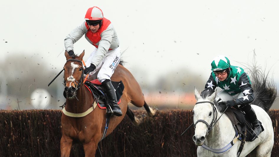 Plaisir D'Amour is a big price for Cheltenham