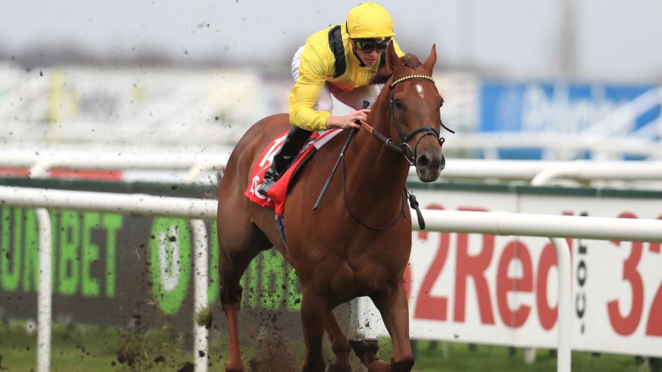 Addeybb impresses at Doncaster