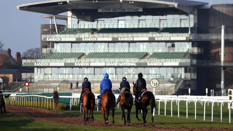 Horses cantering on Thursday morning at Aintree