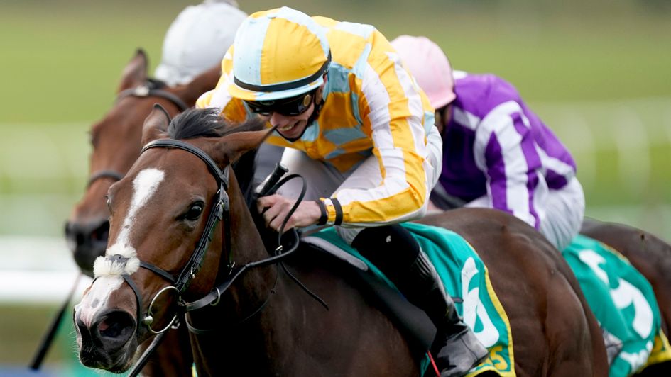 Pretty Gorgeous lands the Fillies' Mile