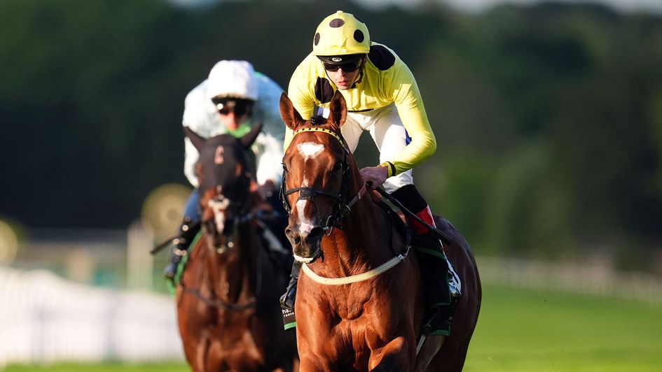 Royal Rhyme and Clifford Lee pictured at Sandown