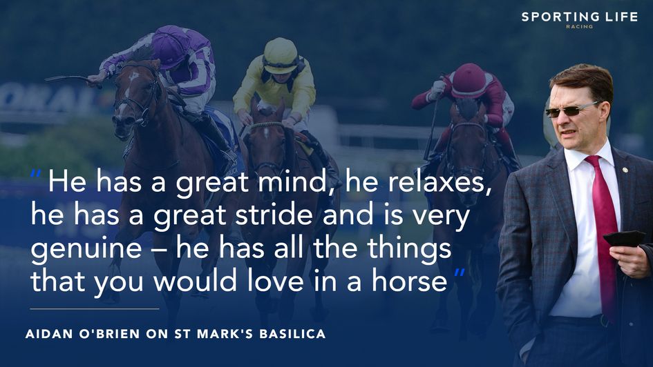 Aidan O'Brien waxes lyrical over St Mark's Basilica