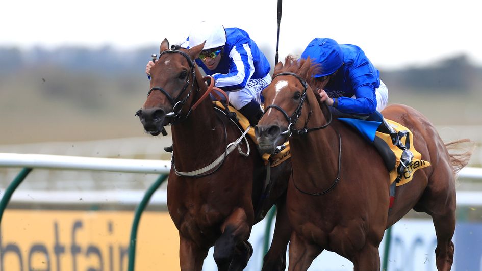 Zabeel Champion (left) gets up narrowly from Global Storm