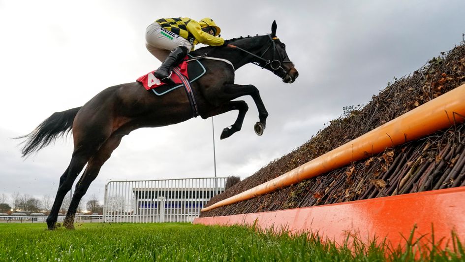 Sporting Life Arkle favourite Shishkin