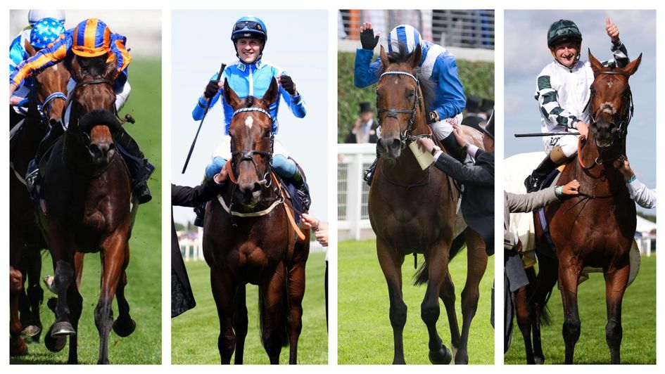 Fab four: Mission Central, Venetian Sun, Almeraq and Double Rush