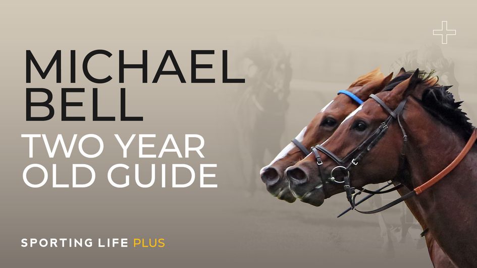 Michael Bell Two-Year-Old Guide