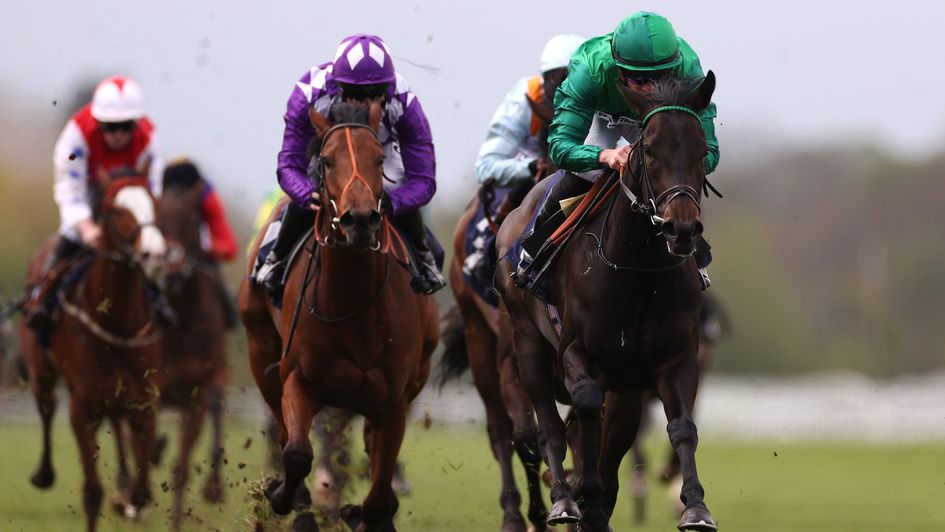 Relief Rally makes a winning debut at Windsor