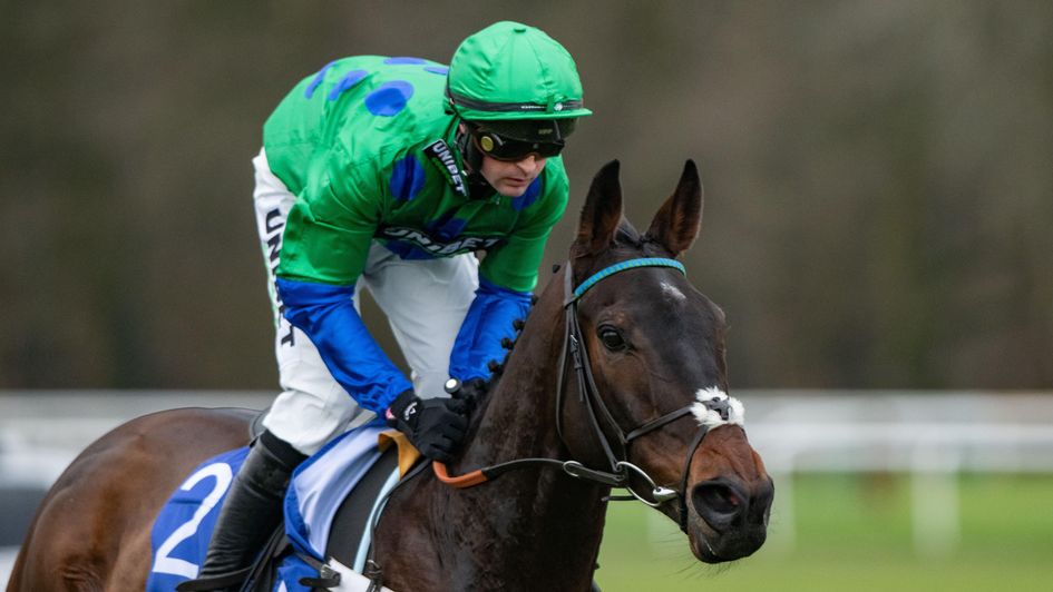 Old Park Star - tops Timeform novice hurdle ratings