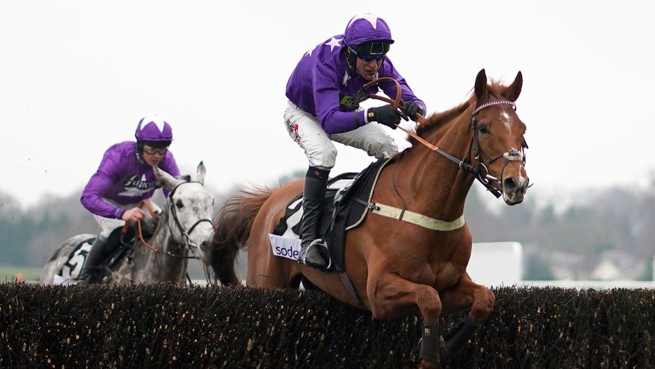 Mister Malarky wins the Reynoldstown