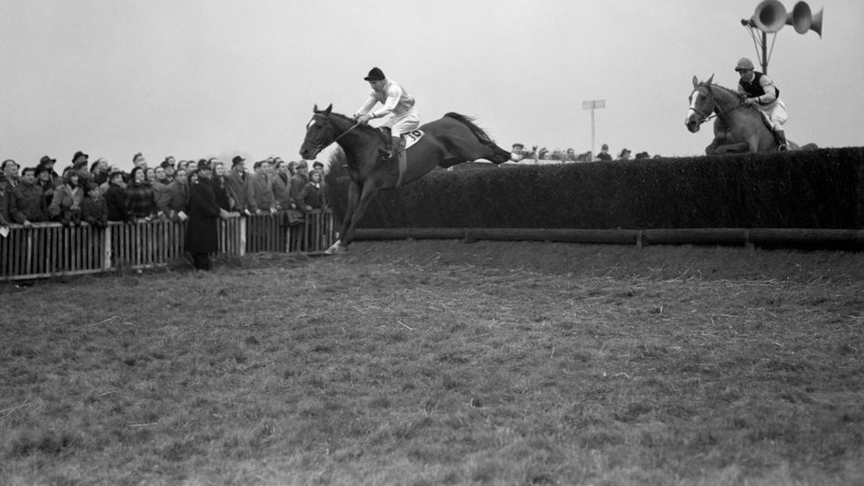 Silver Fame (right), Molony's 1951 Gold Cup winner.