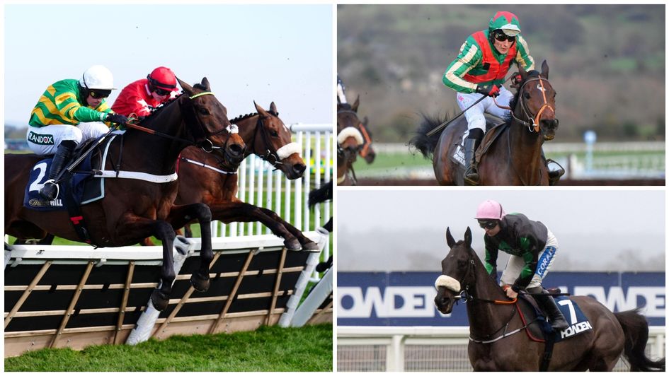 Some of the leading contenders at Ascot