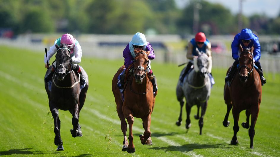 See The Fire beats Red Letter (left) to win the Middleton at York