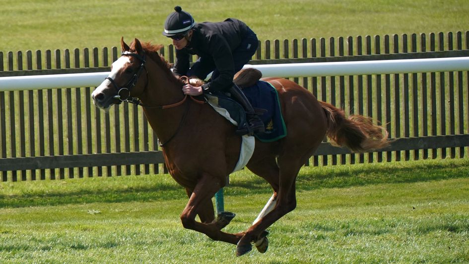Dubai Mile works at Newmarket
