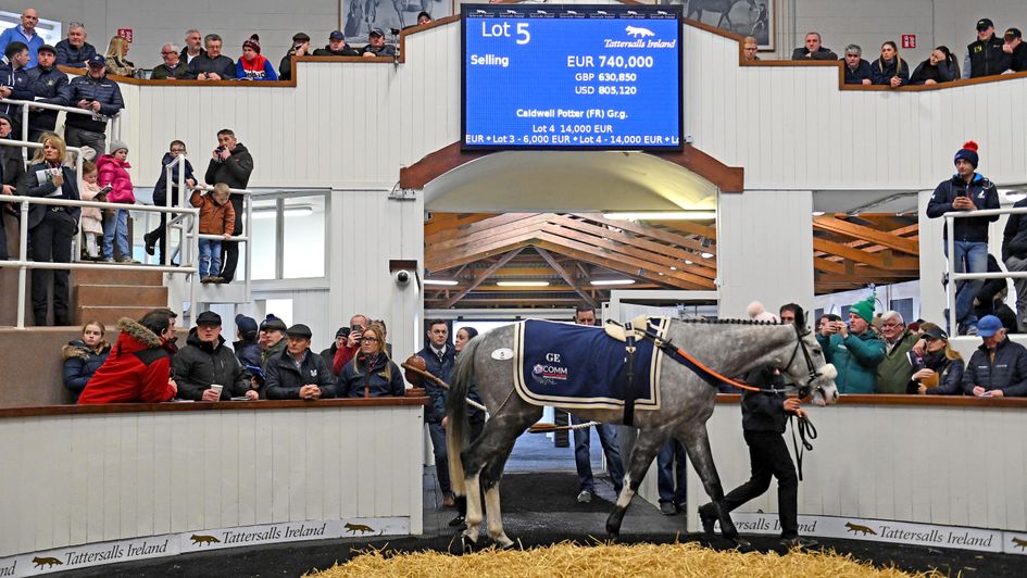 Caldwell Potter is sold for a record sum on Monday (Tattersalls Ireland)
