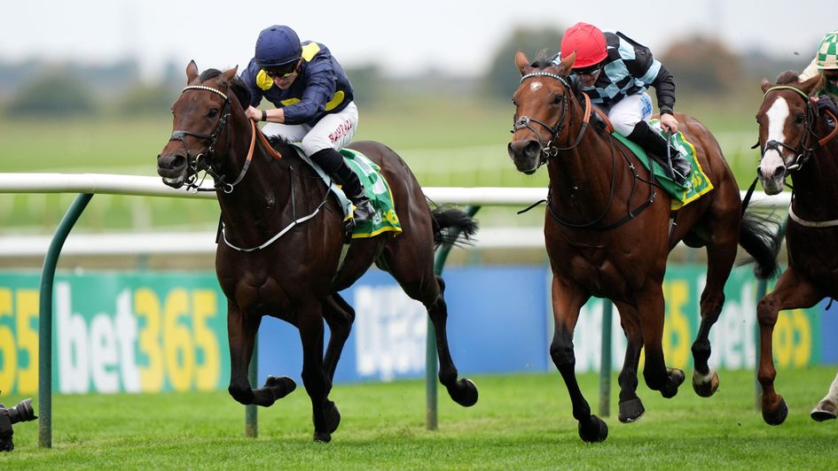 Yabher battles to victory at Newmarket