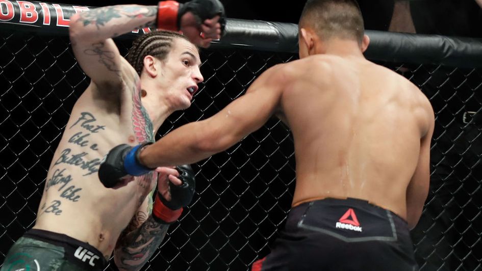 Sean O'Malley is fancied to win quickly and convincingly